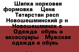 Шапка норковая формовка  › Цена ­ 2 500 - Татарстан респ., Новошешминский р-н, Новошешминск с. Одежда, обувь и аксессуары » Мужская одежда и обувь   